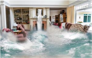 What You Need to Know Before Choosing a Water Damage Recovery Company