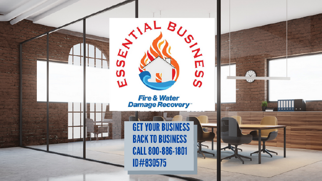 Get Your Business Back to Business