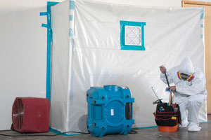 safe mold removal